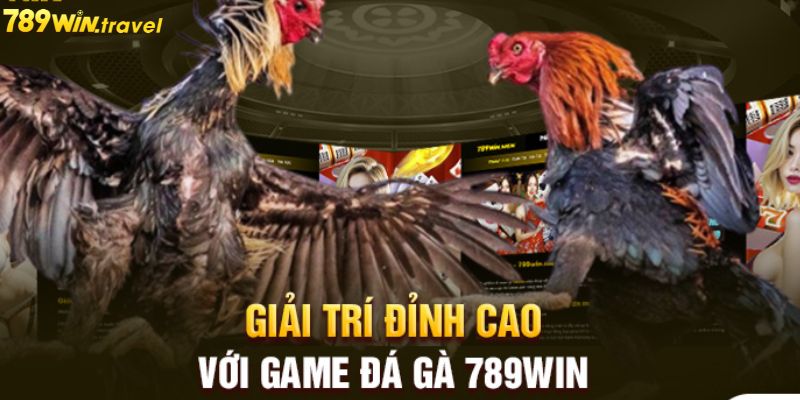 Vài nét khái quát nhất về sảnh cược chọi gà tại 789win