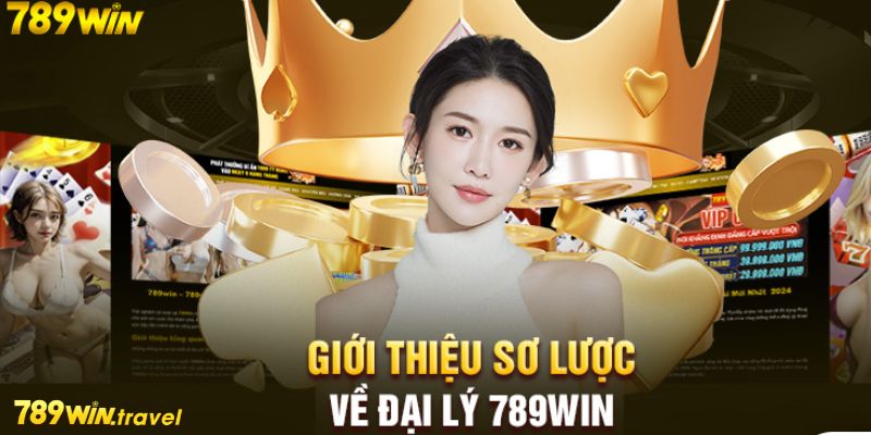 Giới thiệu về đại lý 789win