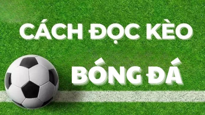 cách đọc kèo bóng đá