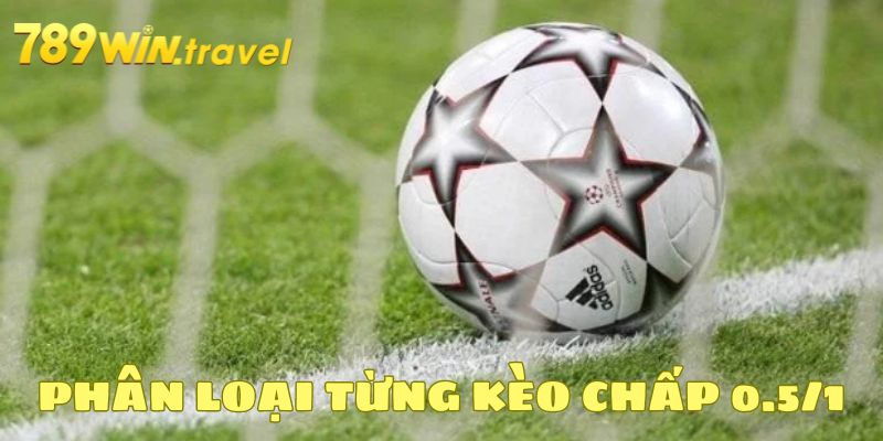 Phân loại từng kèo chấp 0.5/1 phổ biến nhất hiện nay